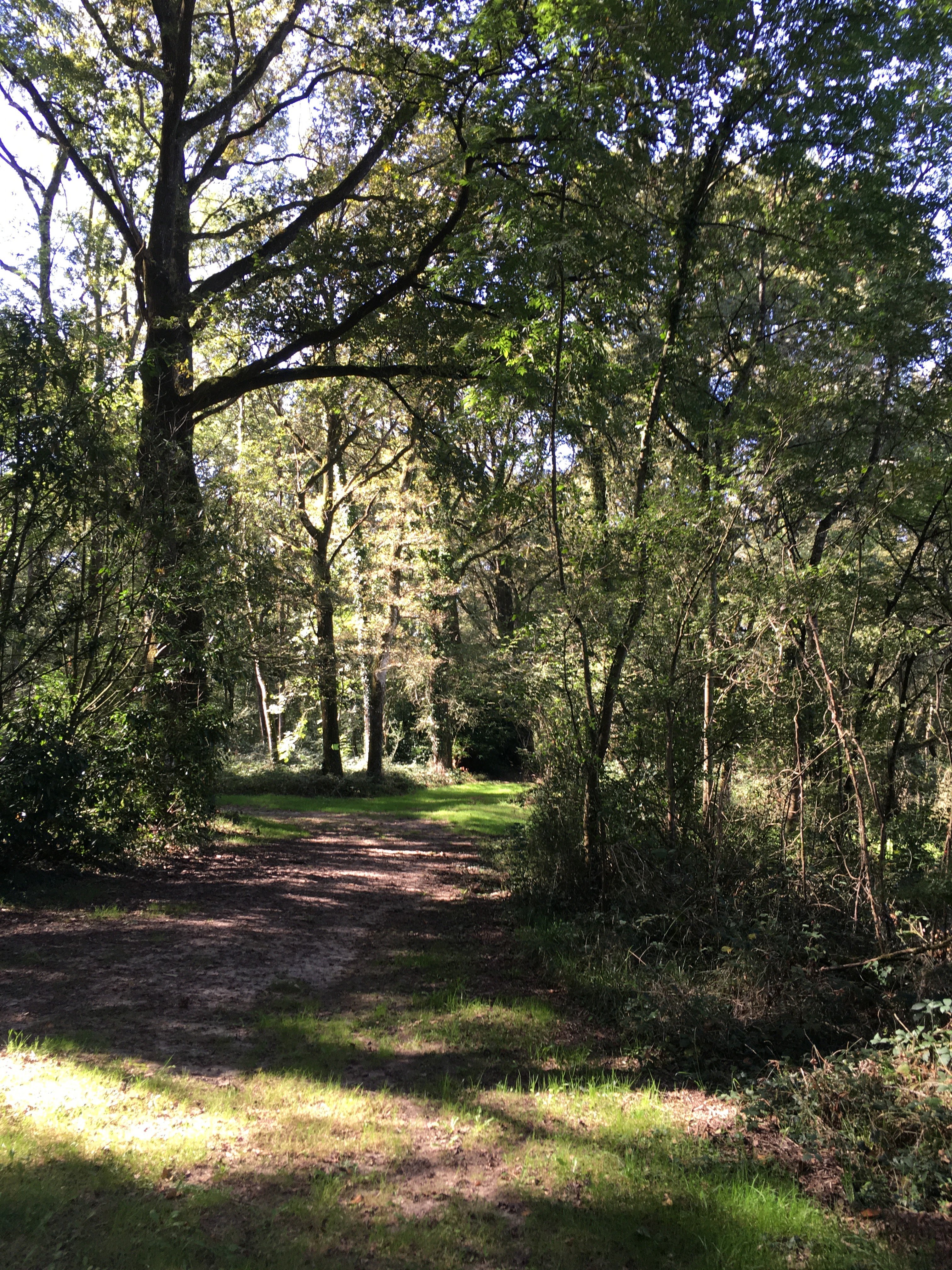 Photo n° 4 de l'avis de Thomas.o fait le 07/10/2023 à 21:12