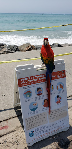 Pet Supply Store «PetSmart», reviews and photos, 33963 Doheny Park Rd, San Juan Capistrano, CA 92675, USA