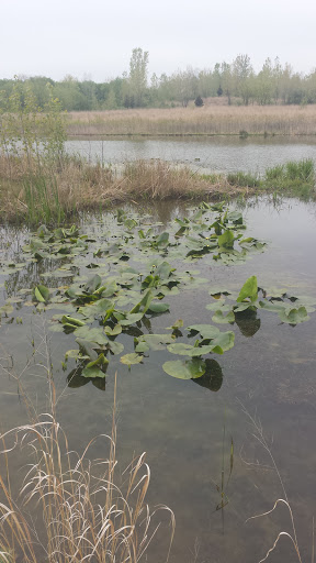 Bird Watching Area «Jelke Creek Bird Sanctuary», reviews and photos, Boncosky Rd, Dundee Township, IL 60118, USA