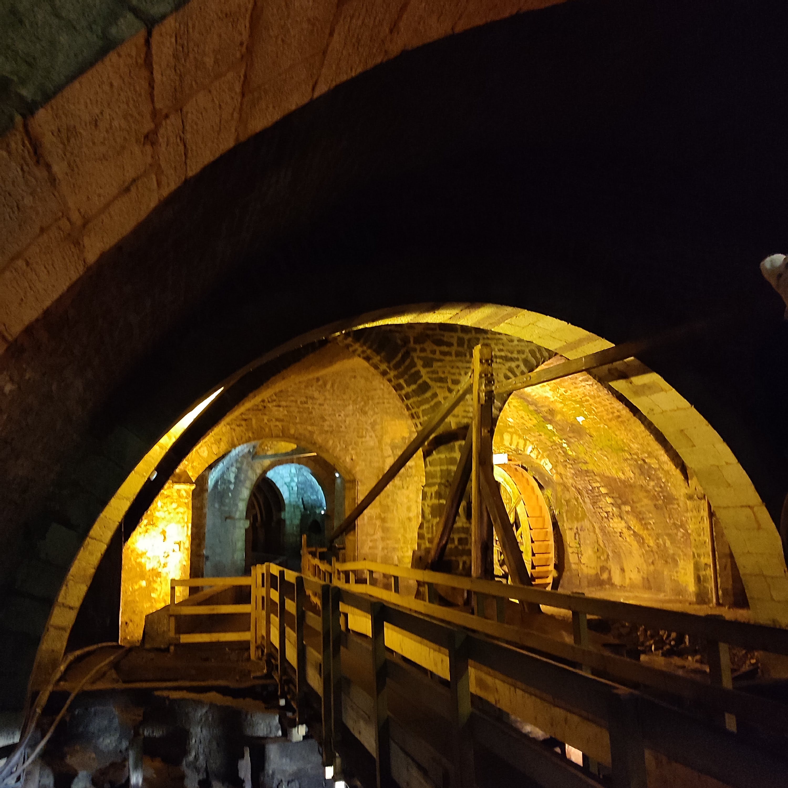 Photo n° 1 de l'avis de Brunel.e fait le 27/12/2022 à 16:48