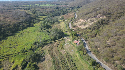 Rancho Gallina Coqueta