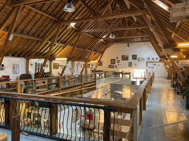 Beoordelingen van Animalaine Asbl in Bastenaken - Museum
