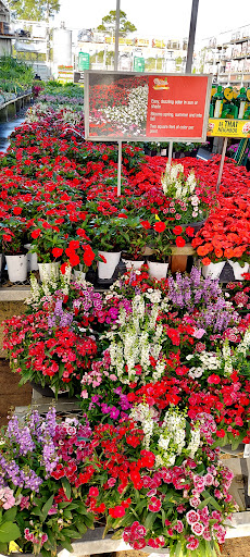 Home Improvement Store «The Home Depot», reviews and photos, 2303 US Hwy 27 S, Sebring, FL 33870, USA