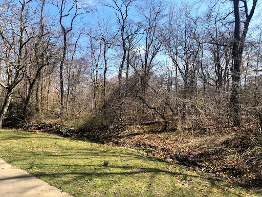 Park «Reverend Arthur Mackey Park», reviews and photos, 242 Elmwood Ave, Roosevelt, NY 11575, USA