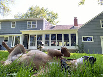 Camp Kitty petsitting - Photo 9 - Car repair in , Trenton