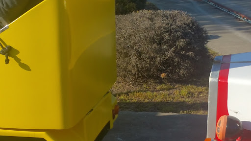 Live Music Venue «Webster Hall», reviews and photos, 125 E 11th St, New York, NY 10003, USA