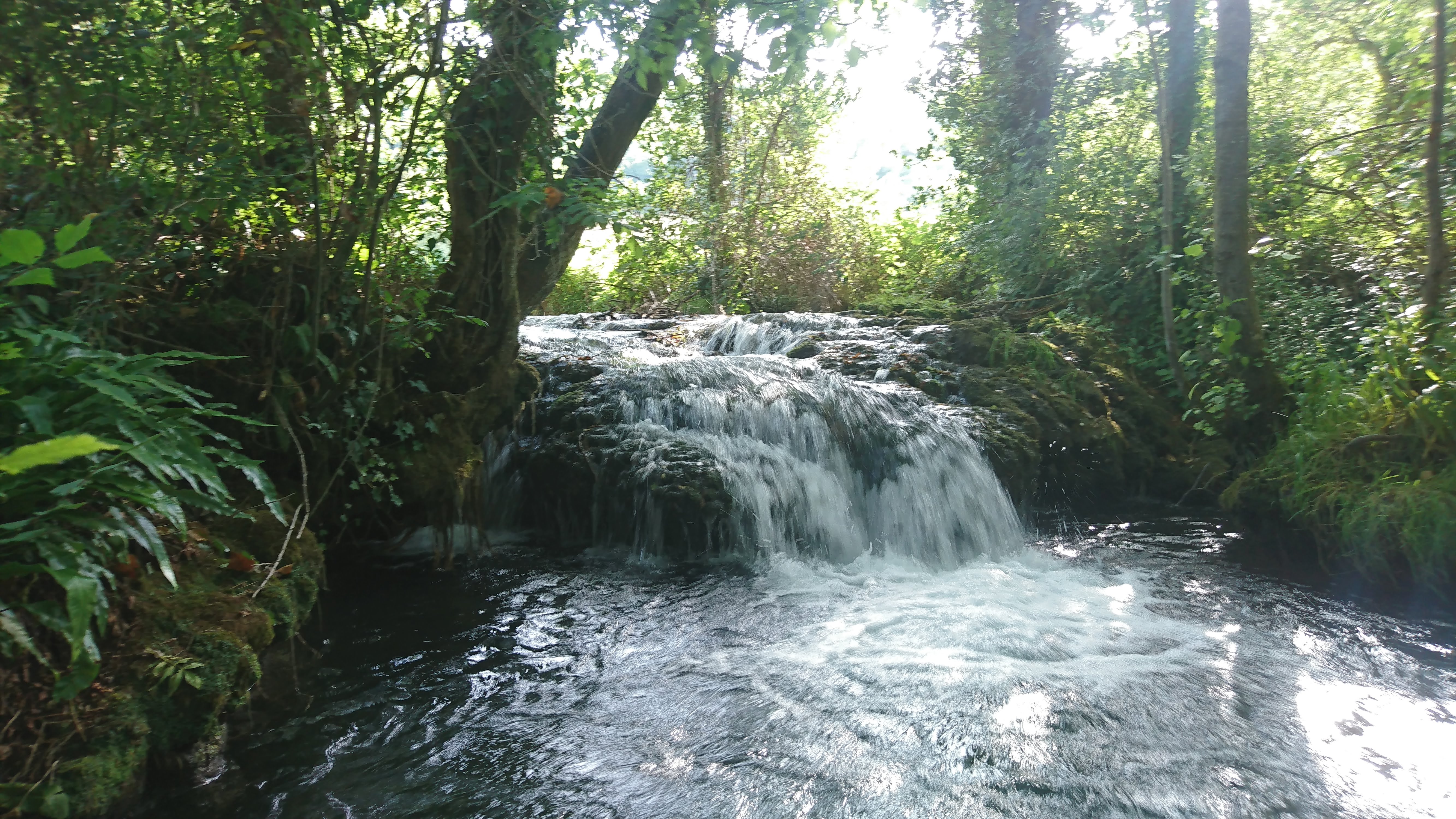 Photo n° 1 de l'avis de Fred.o fait le 26/07/2019 à 12:52