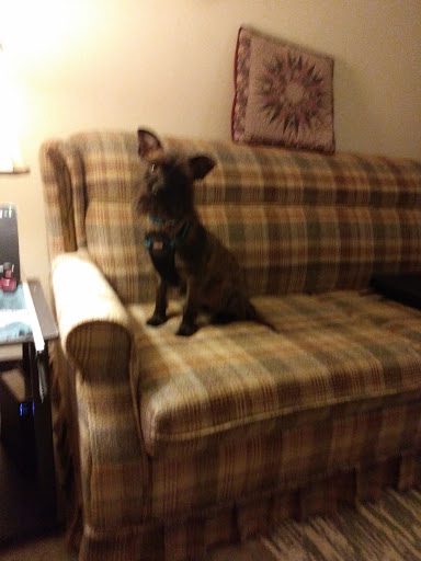 Pet Supply Store «Petco Animal Supplies», reviews and photos, 1893 W Main St, Troy, OH 45373, USA