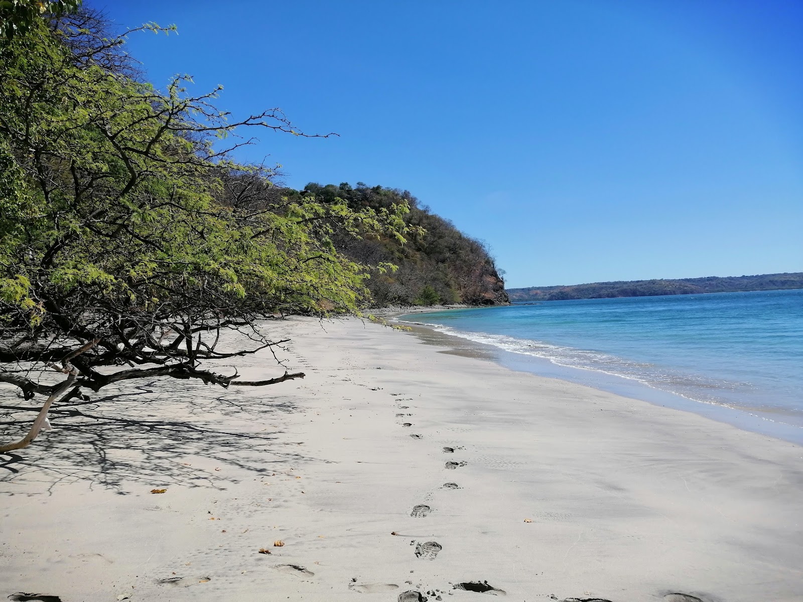 Fotografija Blanca beach divje območje