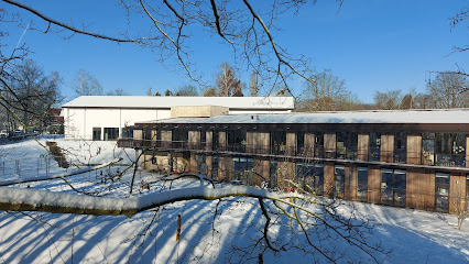 Basisschool GO! De Boomhut (Freinetonderwijs)
