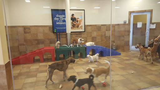 Pet Supply Store «PetSmart», reviews and photos, 6204 W Park Blvd, Plano, TX 75093, USA