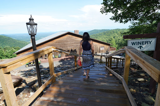 Vineyard «Stone Mountain Vineyards», reviews and photos, 1376 Wyatt Mountain Rd, Dyke, VA 22935, USA