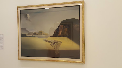 Art Museum «Albright-Knox Art Gallery», reviews and photos, 1285 Elmwood Ave, Buffalo, NY 14222, USA