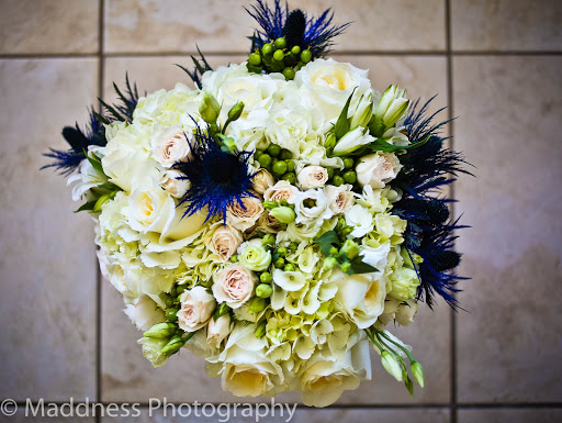 Florist «Hassell Florist», reviews and photos, 1679 Drew St, Clearwater, FL 33755, USA