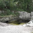 Suwannee Springs