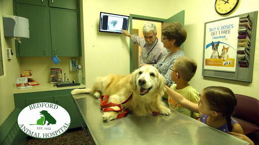 Bedford Animal Hospital