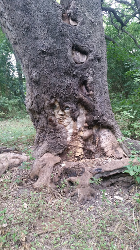 Park «John James Park», reviews and photos, 3910 Rittiman Rd, San Antonio, TX 78234, USA