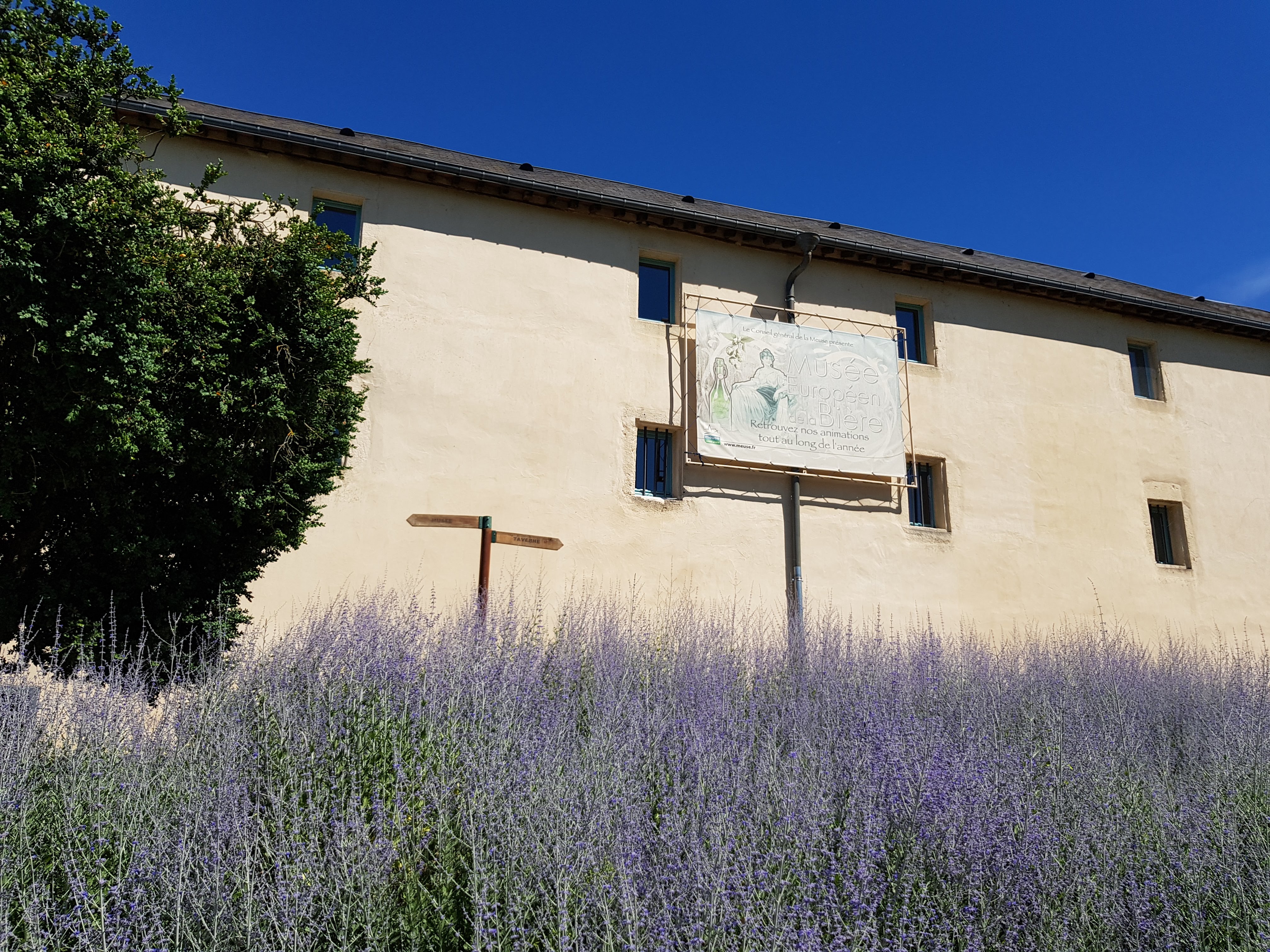 Photo n° 2 de l'avis de Rens.o fait le 06/07/2019 à 13:04