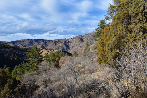 Tourist Attraction «Mount Falcon Park», reviews and photos, Castle Trail, Morrison, CO 80465, USA