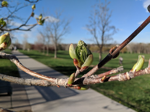 Park «Rosamond Park», reviews and photos, 8051 E Quincy Ave, Denver, CO 80237, USA