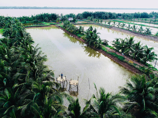 Top 20 cửa hàng tôn Huyện Châu Thành Trà Vinh 2022