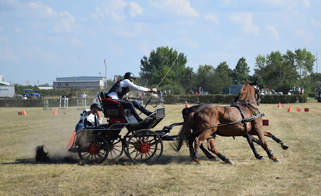 Bogárzói lóversenypálya - Orosháza