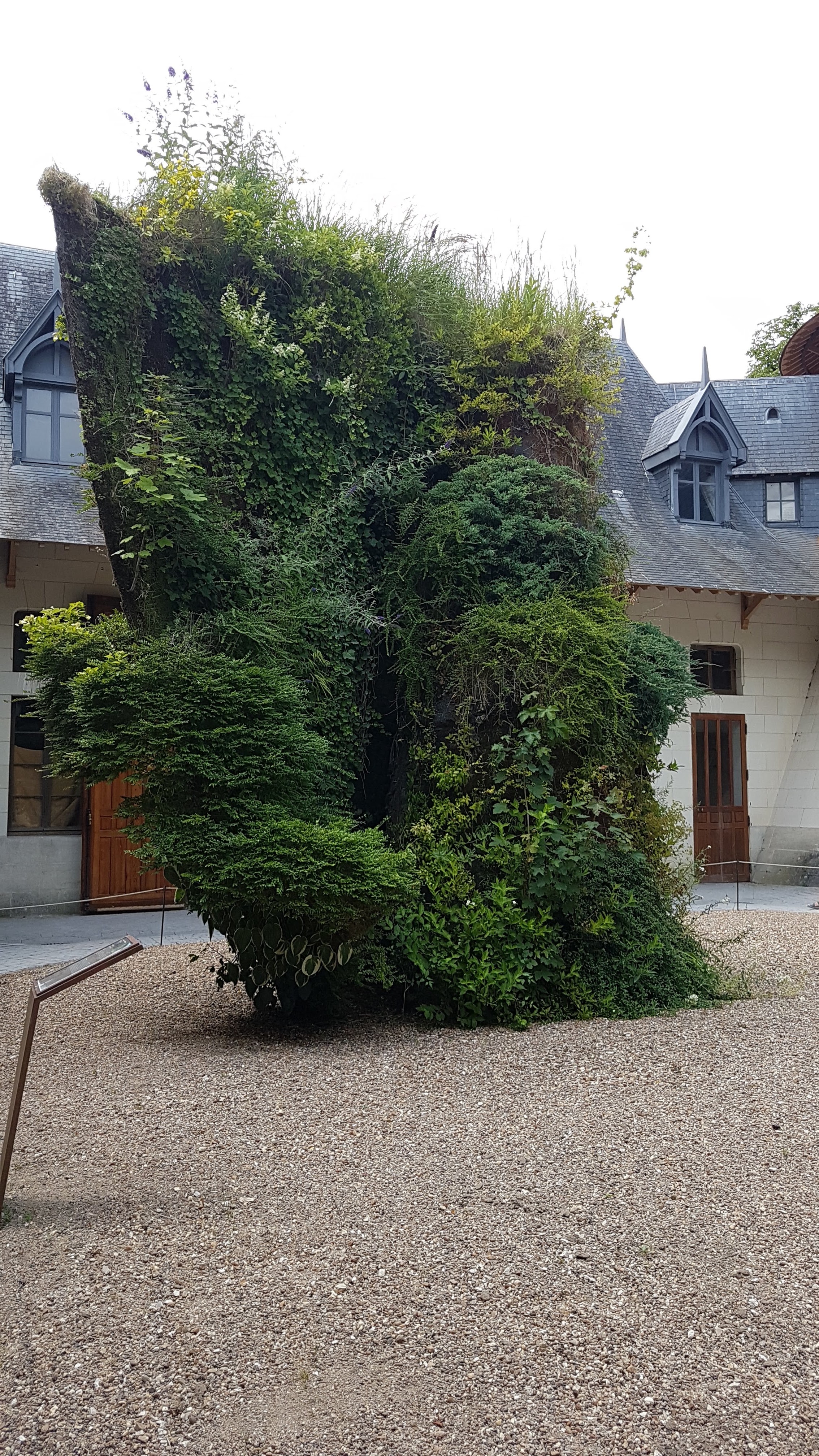 Photo n° 11 de l'avis de christine.o fait le 17/07/2019 à 20:51