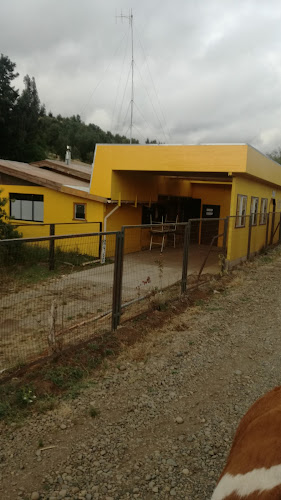 Escuela Pública Chivilcoyan - Nueva Imperial