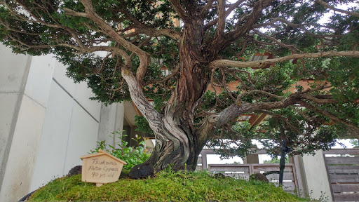 Tourist Attraction «Monastery Of The Holy Spirit», reviews and photos, 2625 GA-212, Conyers, GA 30094, USA