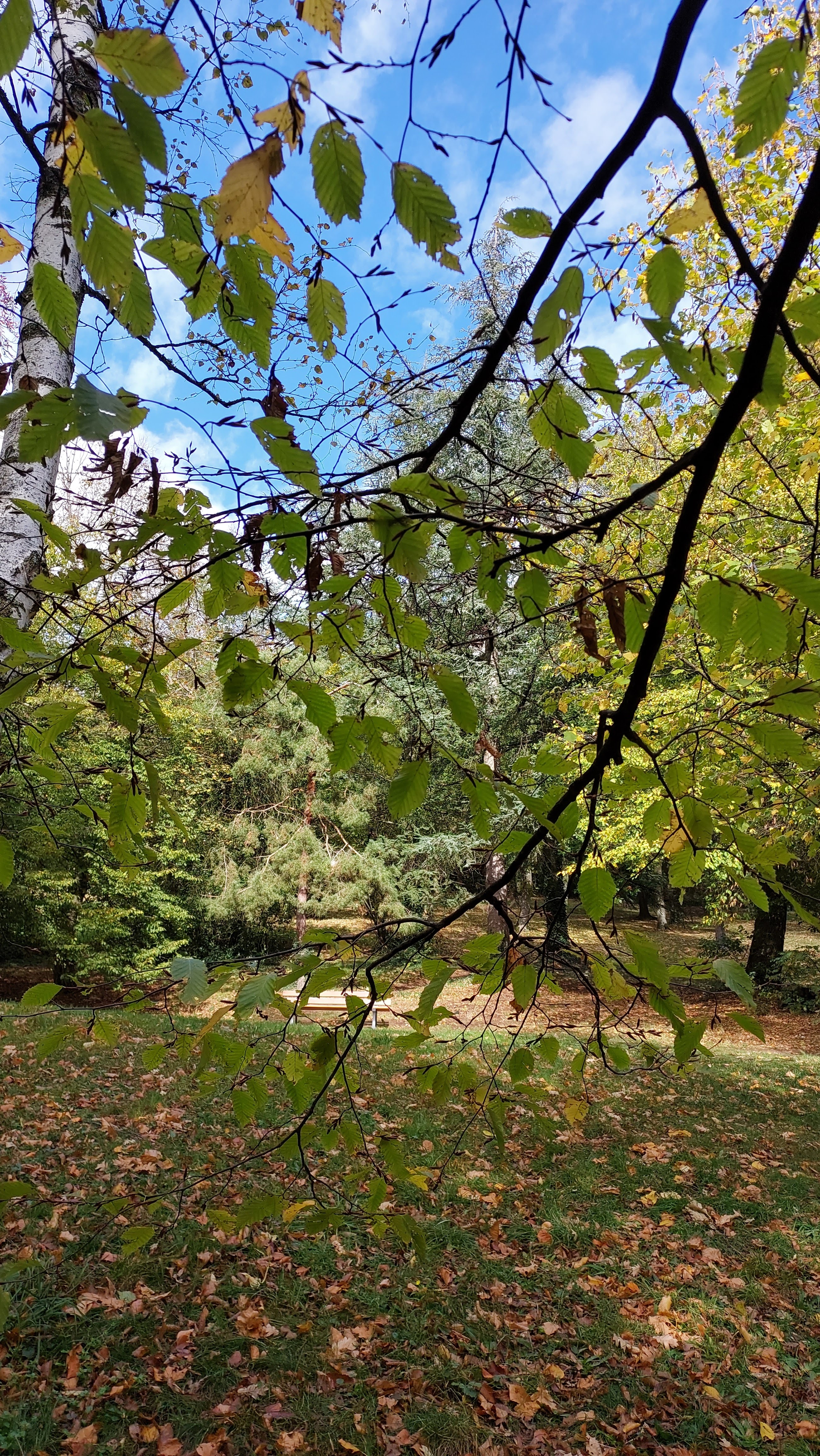 Photo n° 7 de l'avis de Josh.r fait le 05/11/2022 à 12:12