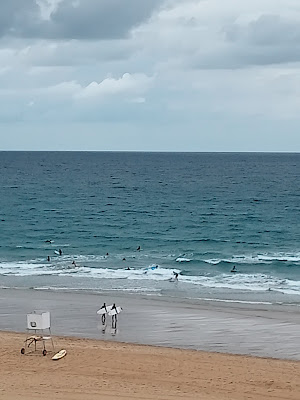 Clair de dunes à Capbreton