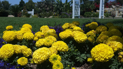 Golf Course «Skylinks at Long Beach Golf Course», reviews and photos, 4800 E Wardlow Rd, Long Beach, CA 90808, USA