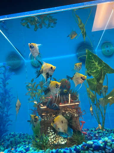 Pet Supply Store «PetSmart», reviews and photos, 2389 Taylor Park Dr, Reynoldsburg, OH 43068, USA