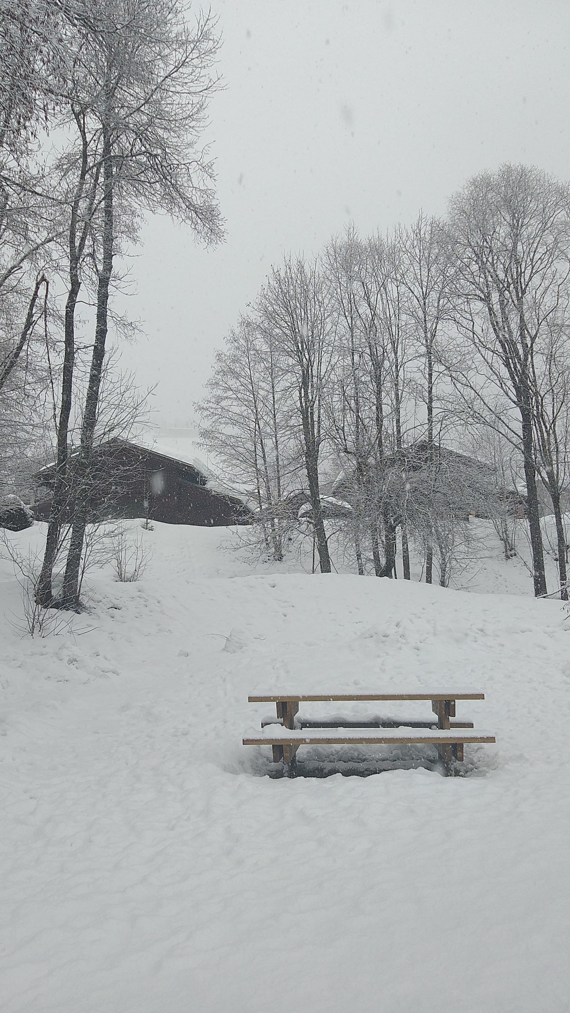 Photo n° 11 de l'avis de Dine.� fait le 13/02/2022 à 15:51