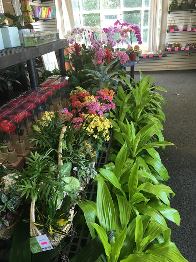 Florist «Cityside Flowers», reviews and photos, 330 US-46 #2, Fairfield, NJ 07004, USA