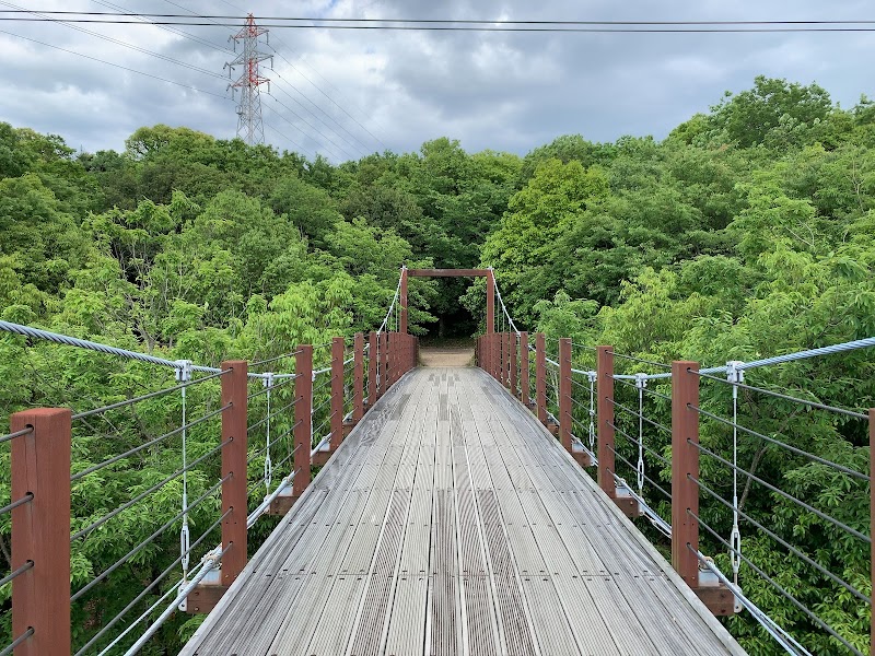 大仏山公園の吊橋