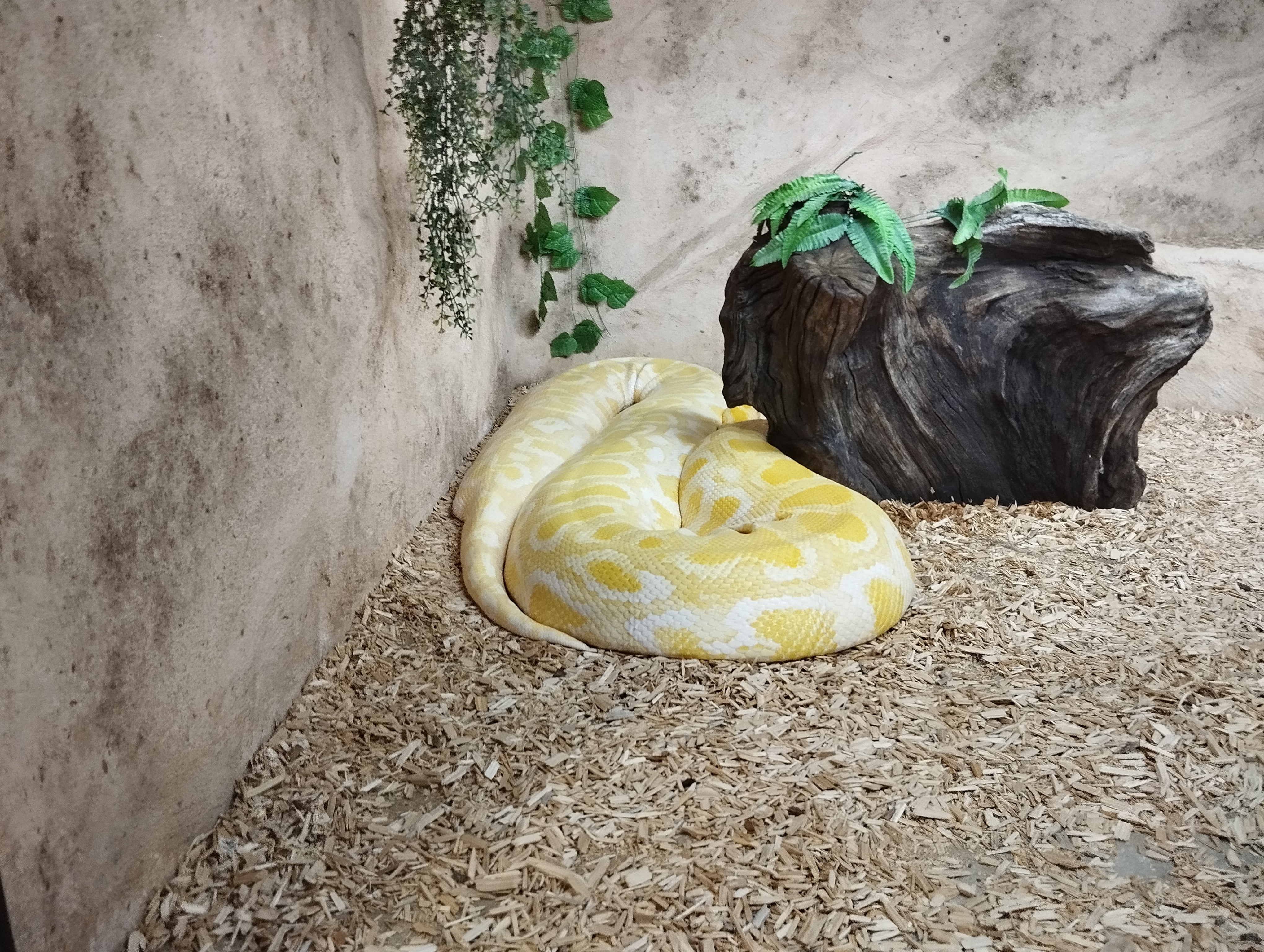 Photo n° 5 de l'avis de Seb.e fait le 17/07/2023 à 19:09