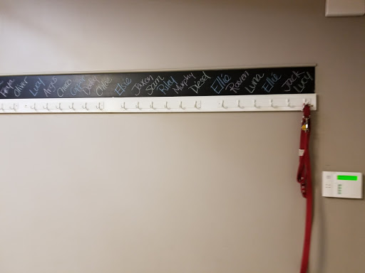 Pet Supply Store «Willow Farm Pet Services», reviews and photos, 21 VT-106, North Springfield, VT 05150, USA