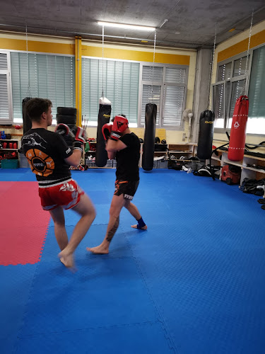 Rezensionen über mmac GmbH modern martial arts center in Bülach - Fitnessstudio