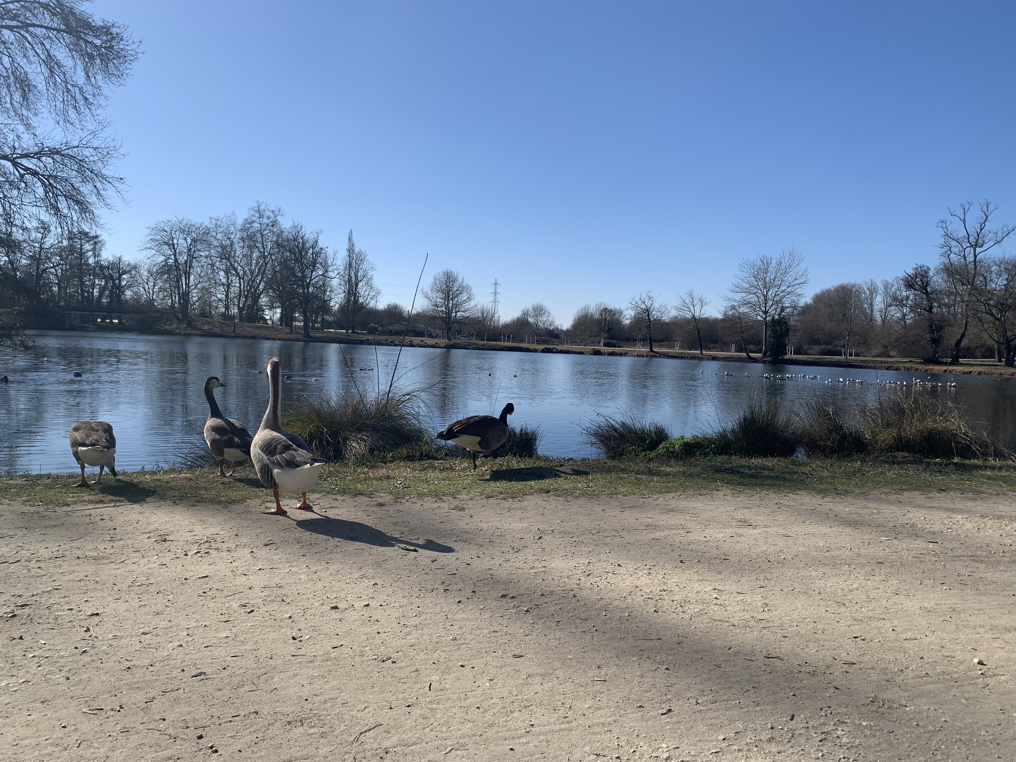 Photo n° 28 de l'avis de Esteban.R fait le 13/02/2023 à 17:04