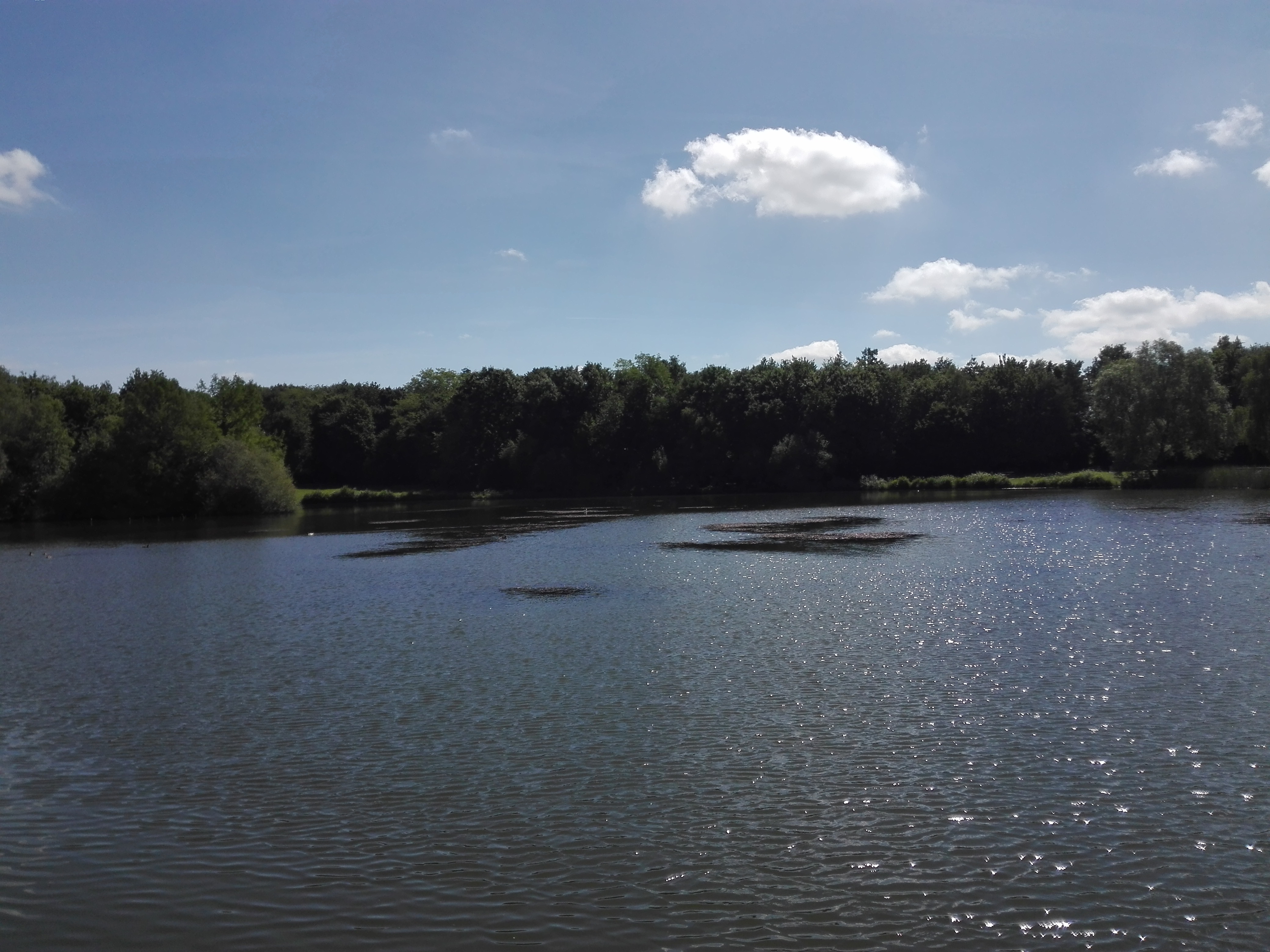 Photo n° 5 de l'avis de Raph.e fait le 05/06/2019 à 14:22