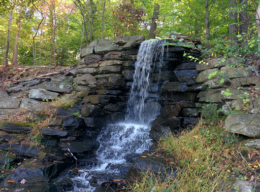 Nature Preserve «Winkler Botanical Preserve», reviews and photos, 5400 Roanoke Ave, Alexandria, VA 22311, USA