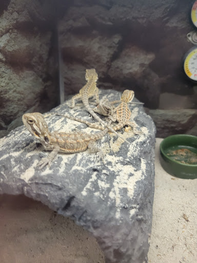 Pet Supply Store «Petco Animal Supplies», reviews and photos, 1933 South Rd, Poughkeepsie, NY 12601, USA