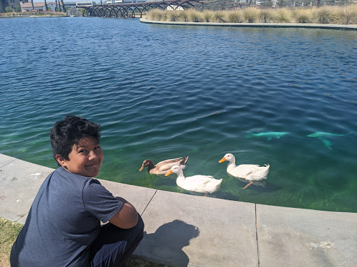 Shopping Mall «Shops At Dos Lagos», reviews and photos, 2780 Cabot Dr #140, Corona, CA 92883, USA