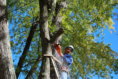 Green Mountaineers tree service