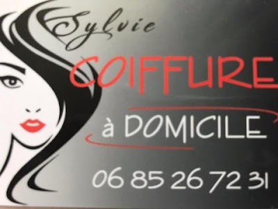 Coiffure à domicile Sylvie à Le Fauga