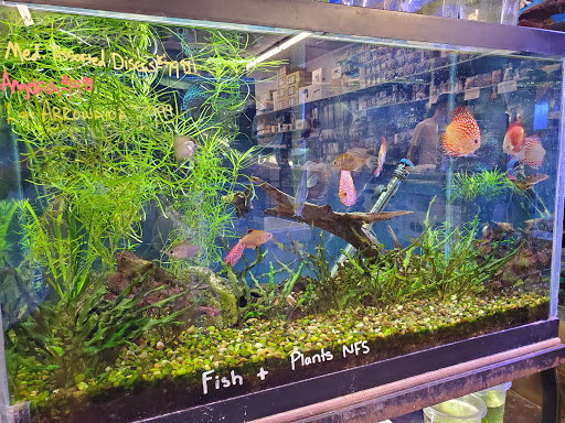 Pet Store «Pet Connection», reviews and photos, 29551 Five Mile Road, Livonia, MI 48154, USA