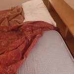 Photo n°7 de l'avis de Chris.e fait le 01/03/2023 à 20:41 sur le  Hotel Tempio di Apollo à Rome