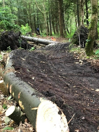 Start Løvbakke MTB spor