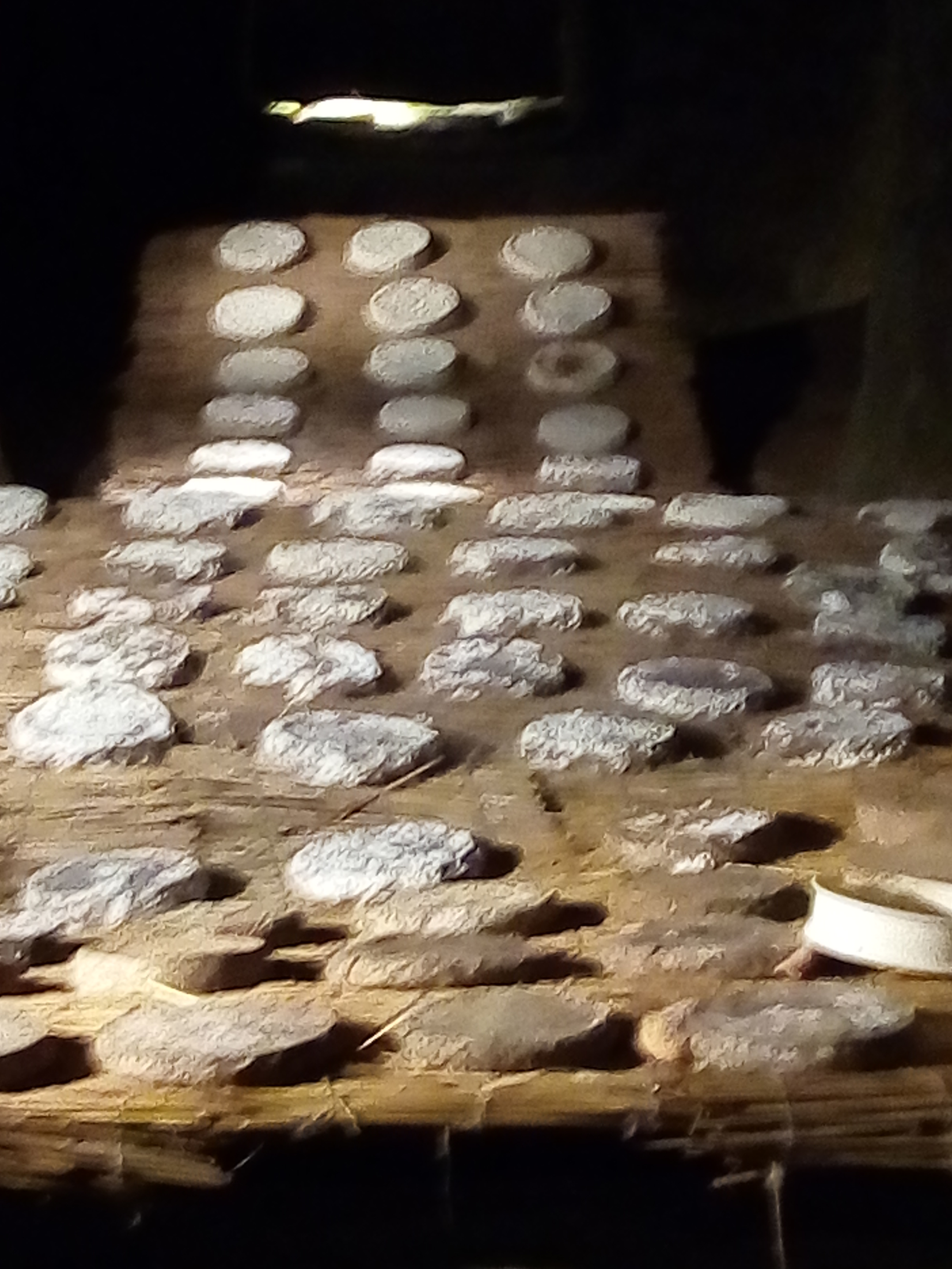 Photo n° 1 de l'avis de Patrice-Yvan.e fait le 15/08/2019 à 06:50